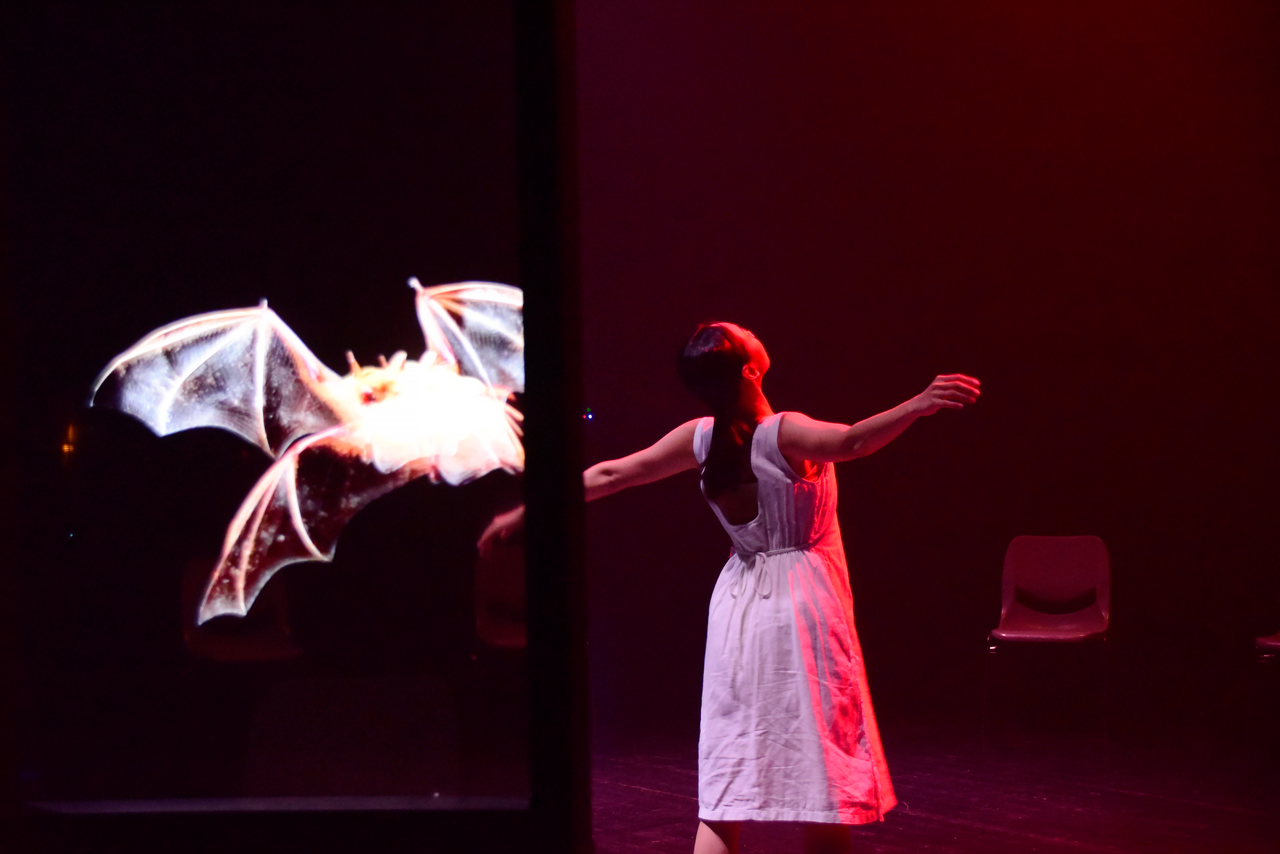 The Mirage Replicas 幻象複本 thumbnail